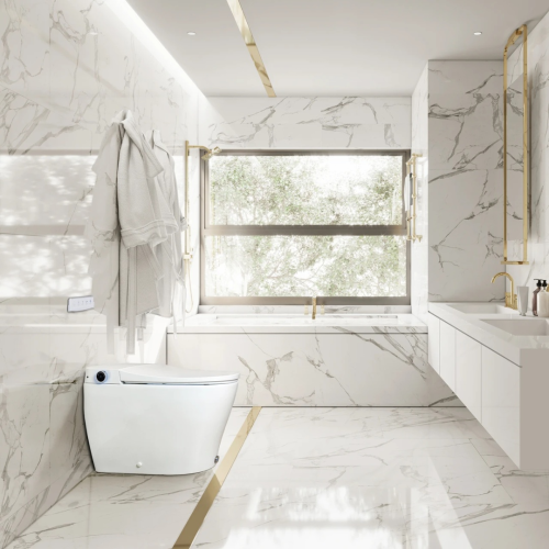 Умный унитаз Triumph-WC-6000, керамика