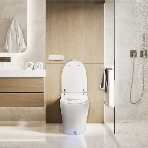 Умный унитаз Triumph-WC-6000, керамика